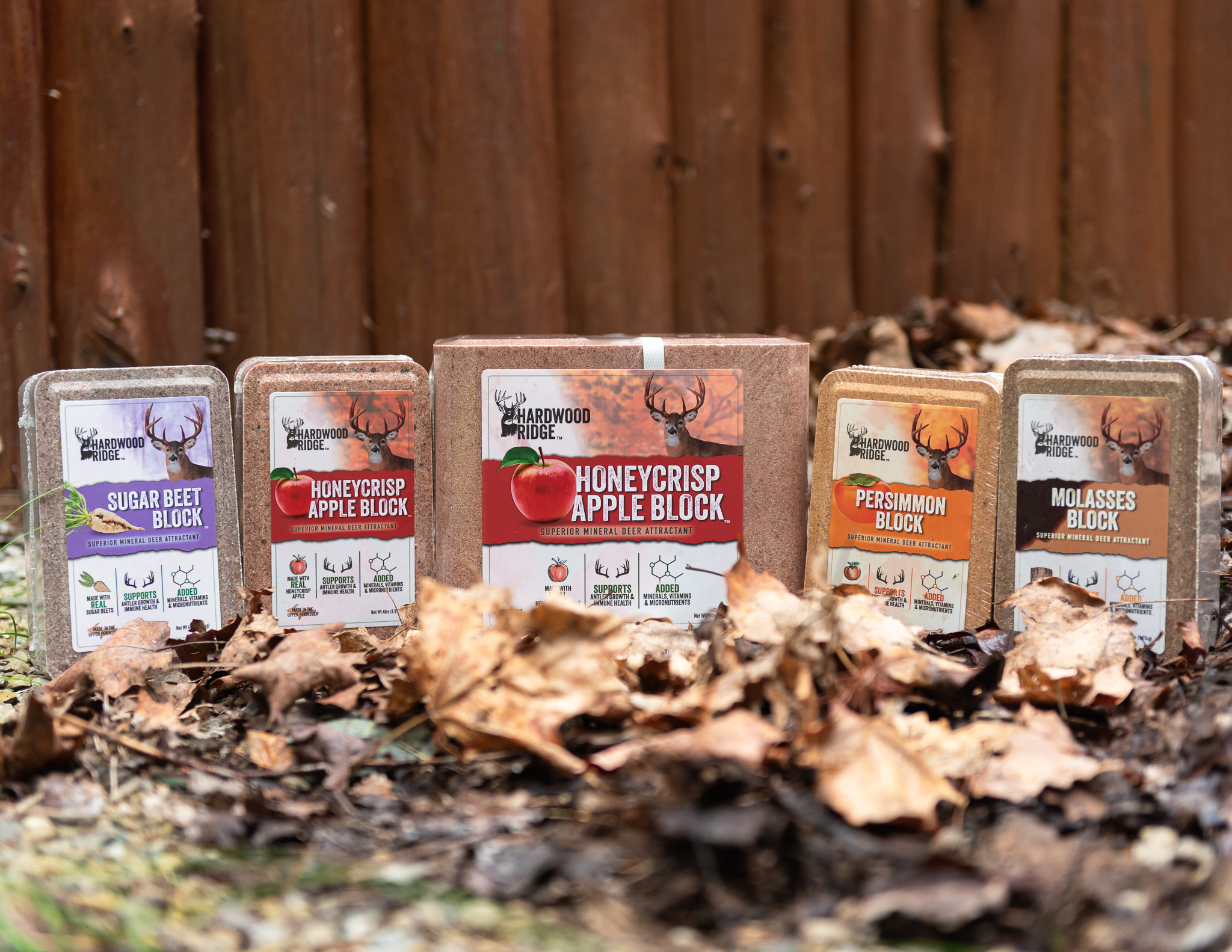 Hardwood Ridge 17 – Web